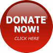 Please donate now