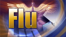 Flu